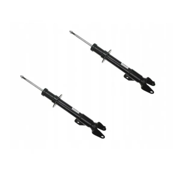 Kompletní sada tlumičů pro zadní pohon 2X4 – Chrysler 300, 300C a 300S 2011-23
